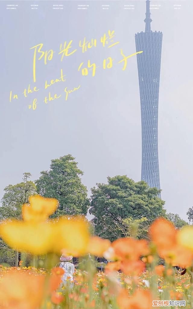 广州10个必去打卡的地方