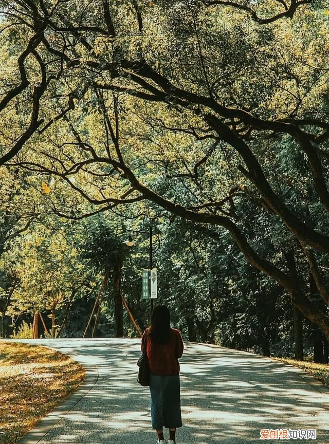 广州10个必去打卡的地方