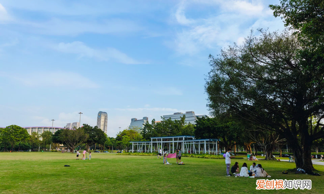 广州10个必去打卡的地方