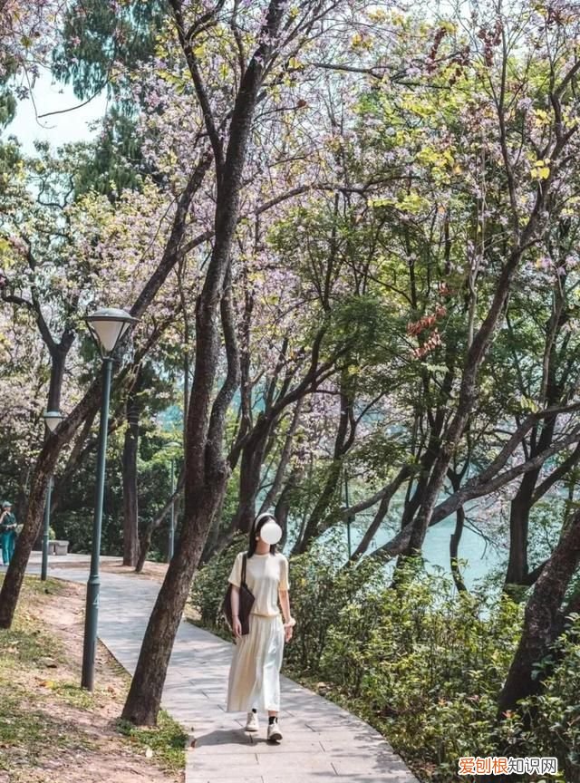 广州10个必去打卡的地方