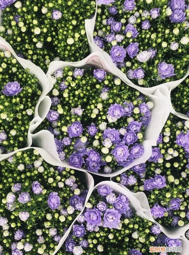 广州10个必去打卡的地方