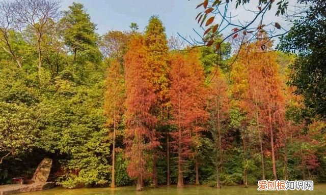 广州10个必去打卡的地方