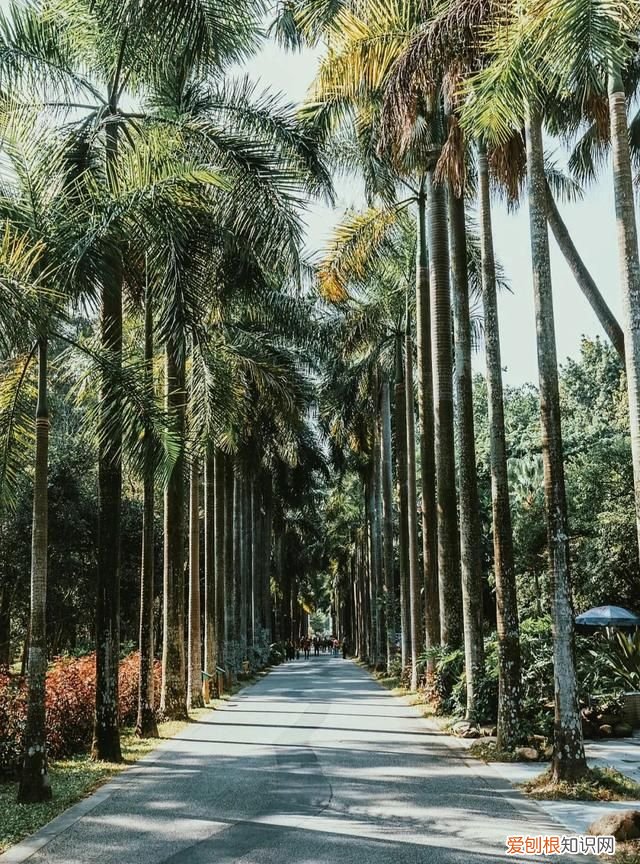 广州10个必去打卡的地方