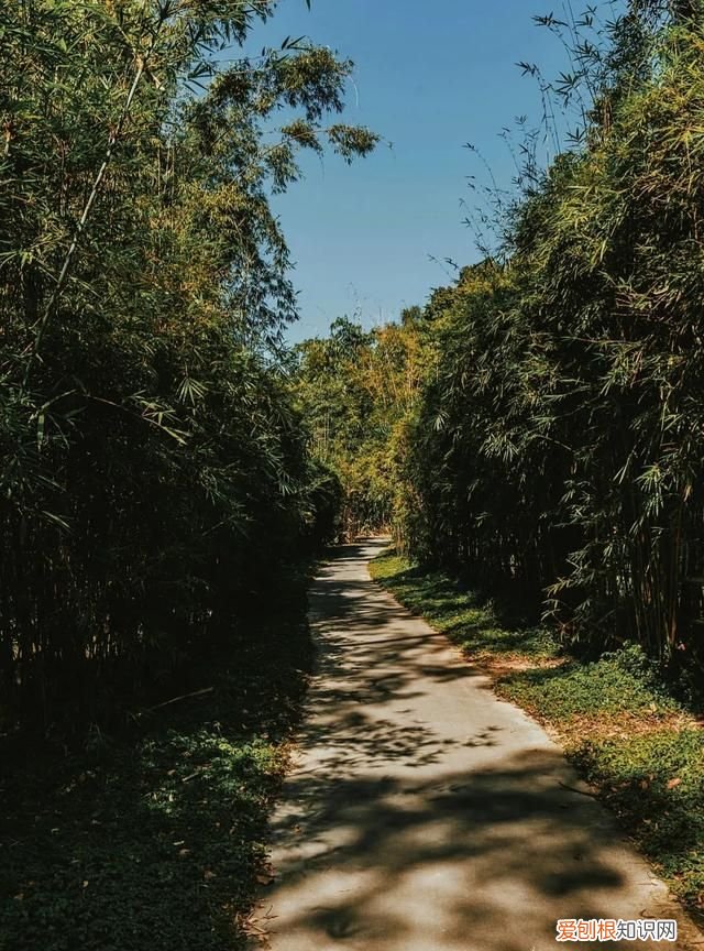 广州10个必去打卡的地方