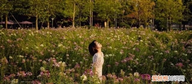 广州10个必去打卡的地方