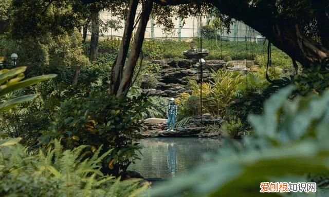 广州10个必去打卡的地方