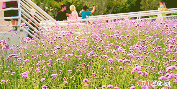 广州10个必去打卡的地方