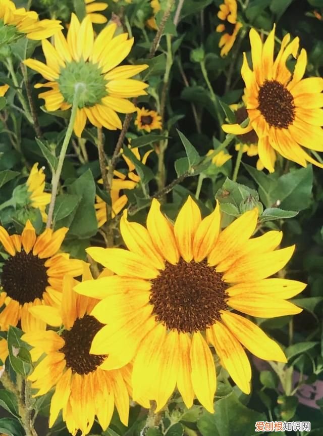 广州10个必去打卡的地方