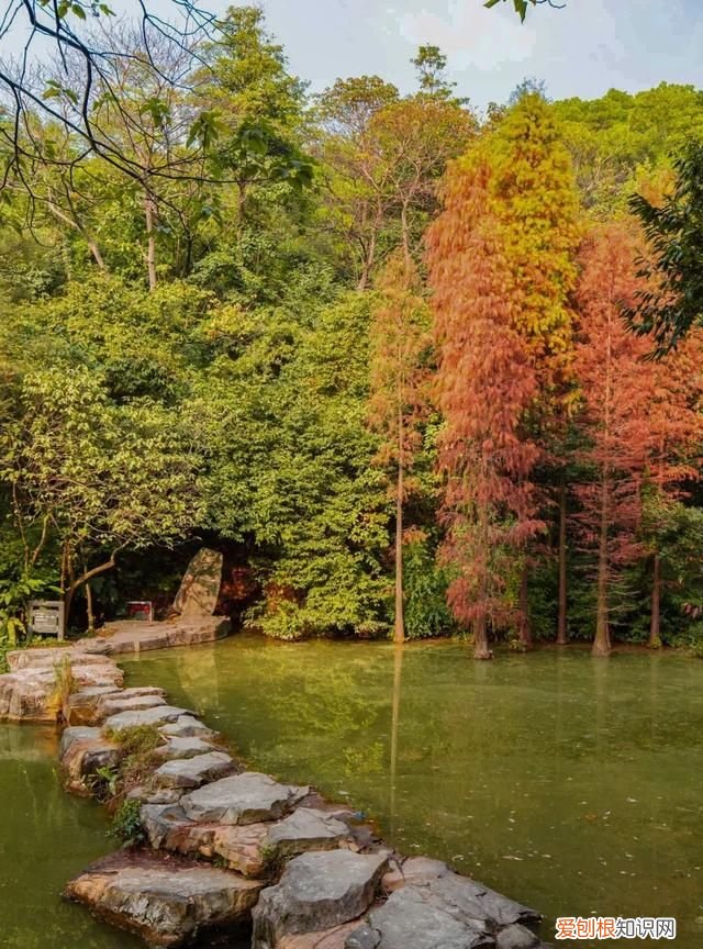 广州10个必去打卡的地方