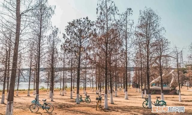 广州10个必去打卡的地方