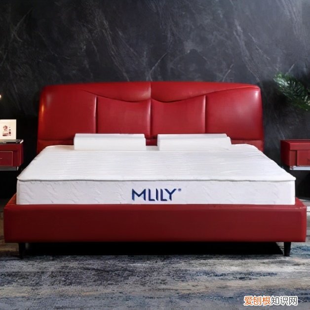 爱舒床垫质量怎么样？20款专业评测分享