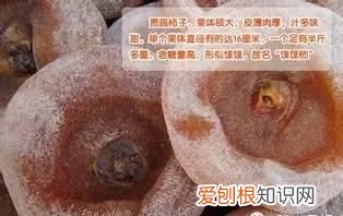 文“话”陇南︱天凉咧,撕一个泛红透亮、柿霜洁白的柿饼吃吧~~