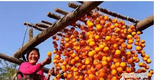 文“话”陇南︱天凉咧,撕一个泛红透亮、柿霜洁白的柿饼吃吧~~