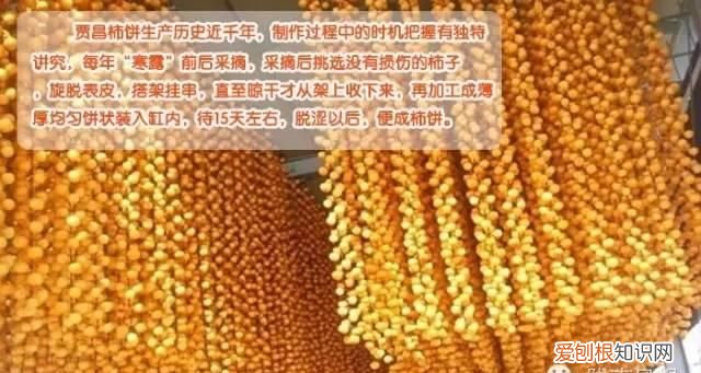 文“话”陇南︱天凉咧,撕一个泛红透亮、柿霜洁白的柿饼吃吧~~