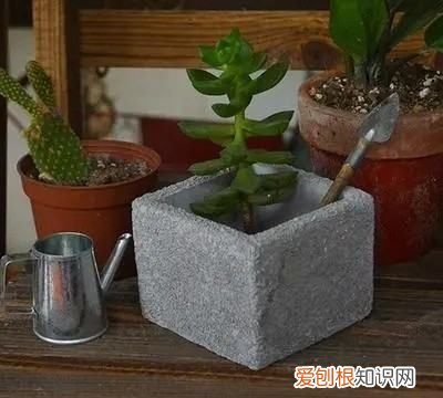 水泥做工艺品教程，如何制作水泥diy工艺品