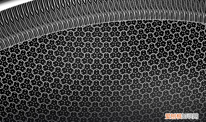 康巴赫316不锈钢炒锅怎么样有没有涂层