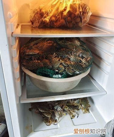 熟河蟹在冰箱能放几天