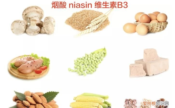 维生素b3缺乏的后果,维生素b族的基本知识