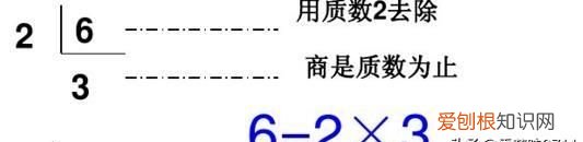 36分解质因数是什么，36分解质因数是多少