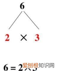 36分解质因数是什么，36分解质因数是多少