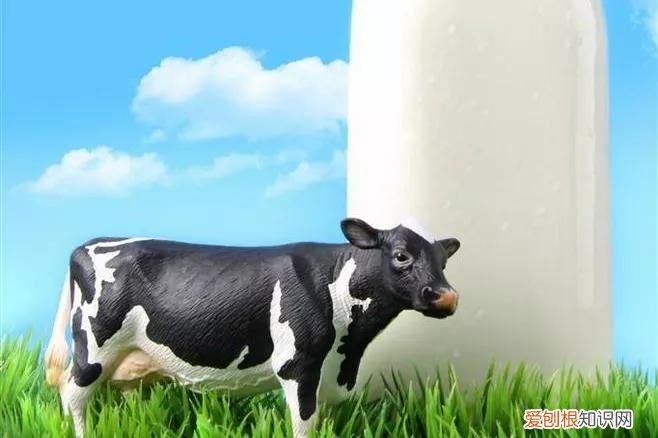 伊利金典奶和特仑苏哪个好