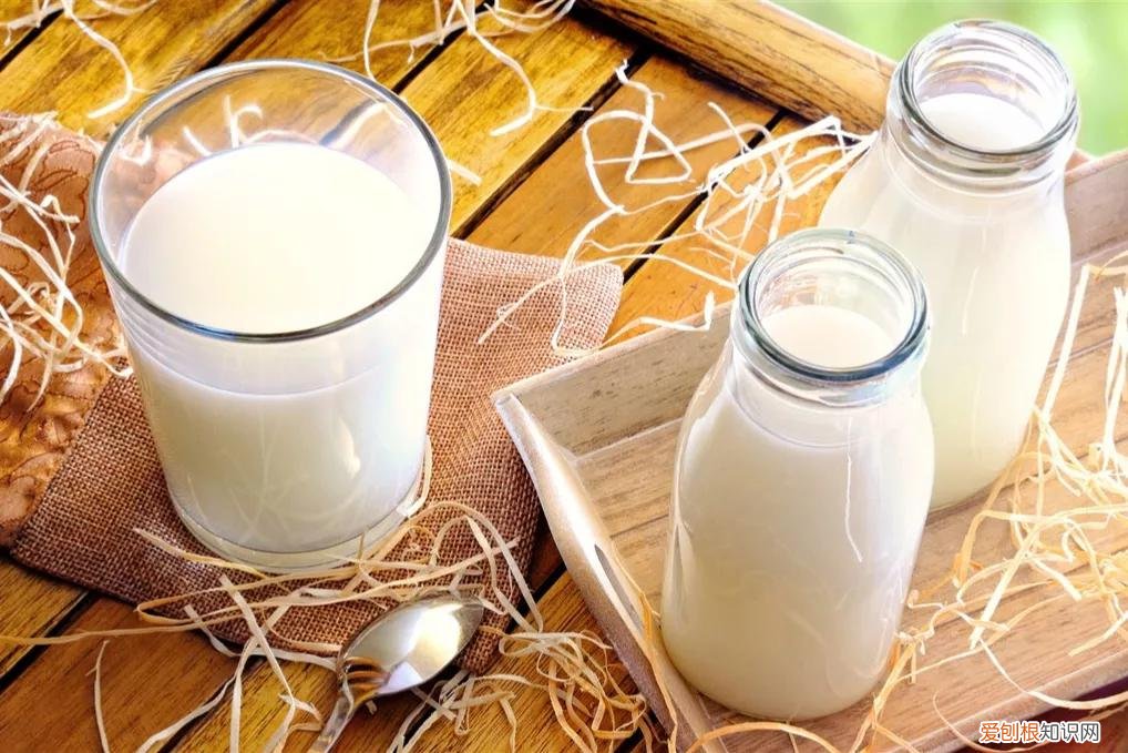 伊利金典奶和特仑苏哪个好