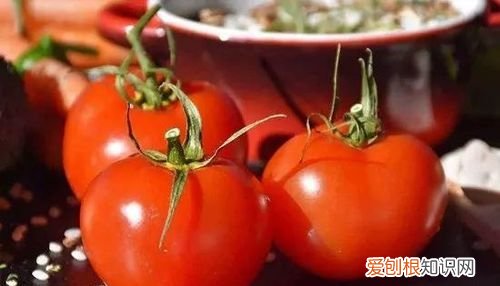 西红柿冻冰箱里还能吃吗,冰镇西红柿放冰箱二天了能吃