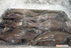 比目鱼就是鳎犸鱼吗