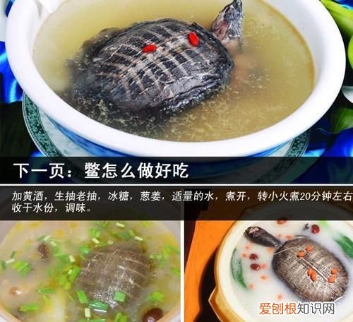 滋补甲鱼汤的做法，甲鱼汤怎么做最营养