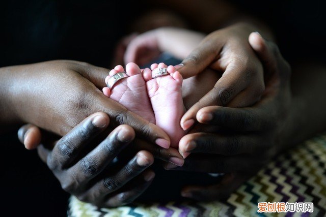 错题打印机哪个品牌质量好学生用