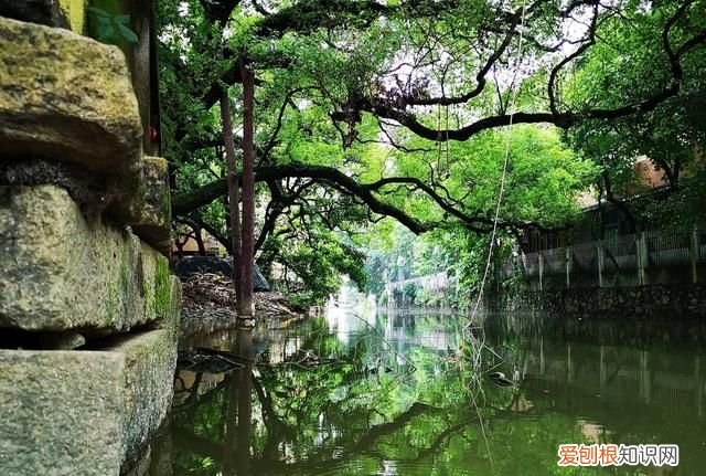 看广州最值得去的18个小众景点