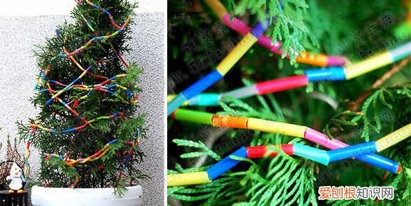 树木可以做成什么物品