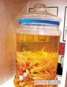 家中常备保健养颜药酒配方大公开