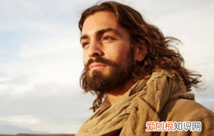 鸡涩斯是什么梗,jesus网络用语什么意思