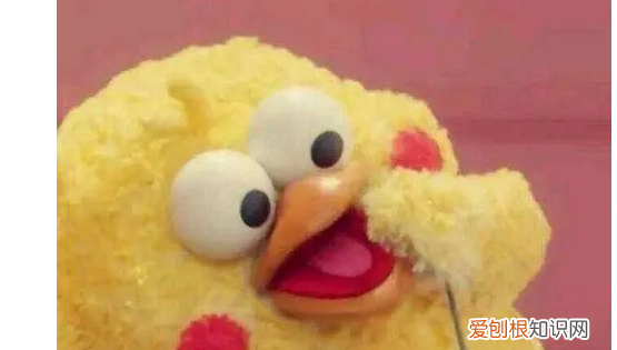 鸡涩斯是什么梗,jesus网络用语什么意思