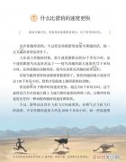 什么比猎豹的速度更快的主要内容