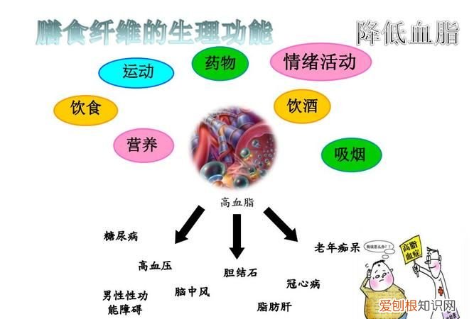 可溶性膳食纤维包括什么,纤本颜菊粉和纤本颜膳食纤维是一个东西