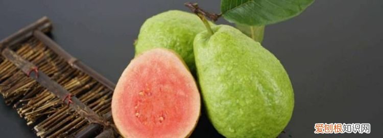 怎么判断芭乐里面有虫,番石榴成熟后为什么里面有虫子