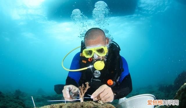 海南三亚蔚蓝色