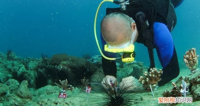 海南三亚蔚蓝色