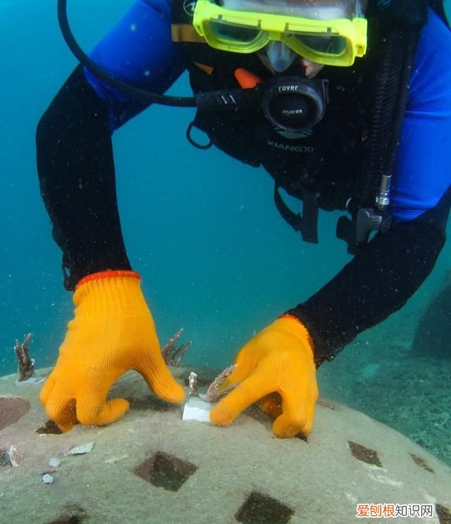 海南三亚蔚蓝色