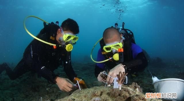 海南三亚蔚蓝色