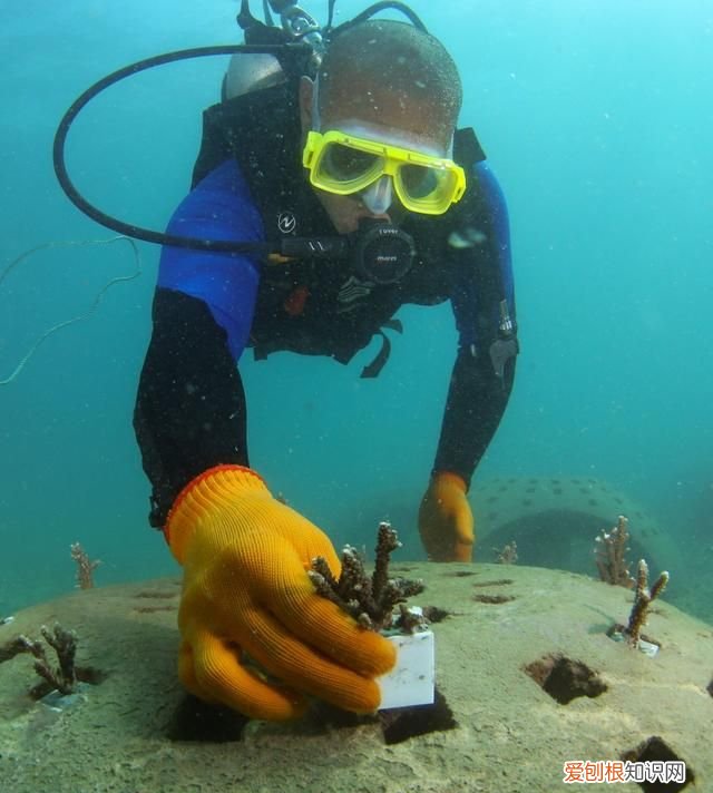 海南三亚蔚蓝色