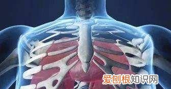 测肺活量的仪器叫什么