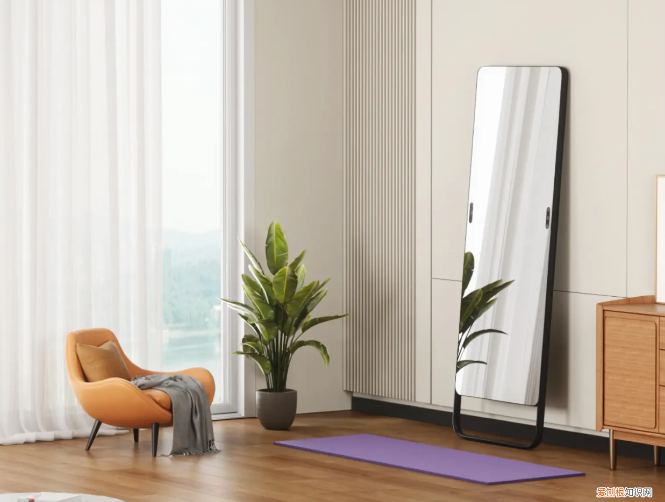 添添健身镜打卡300天免单是真的吗