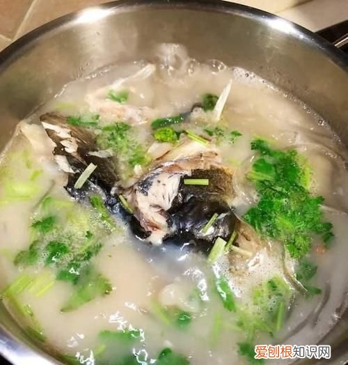 炖鱼头豆腐汤可以加醋，鱼头豆腐汤可以放香菜吗