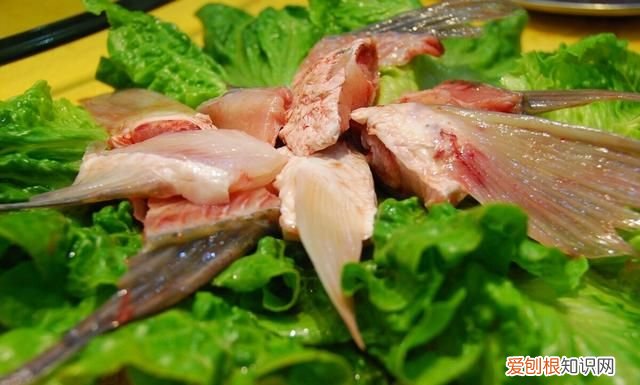 秋燥上火吃什么食物最好