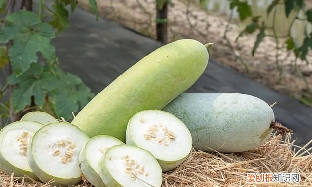 秋燥上火吃什么食物最好