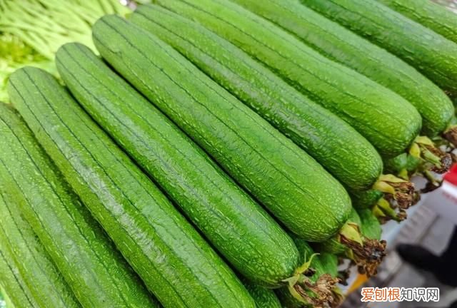 秋燥上火吃什么食物最好