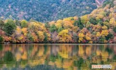 秋燥上火吃什么食物最好